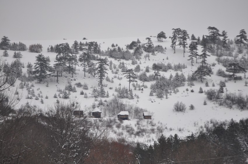 Dobroselica je jedno od većih zlatiborskih sela