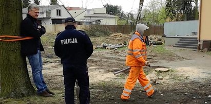 Desperacki krok w obronie drzewa. Zrobił to przez sąsiada