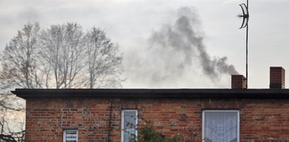 Urzędnicy z Katowic uczą, jak palić w piecu i zdobyć dotację