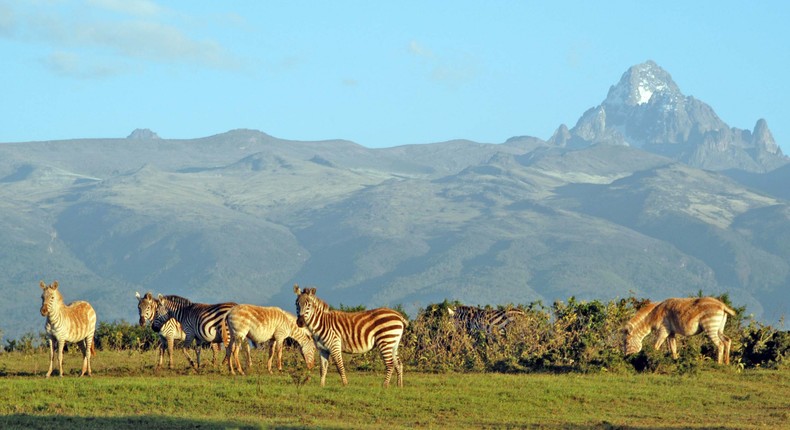 Wild animals leisurely graze at Meru National Park with Mt Kenya on the background. (meru)