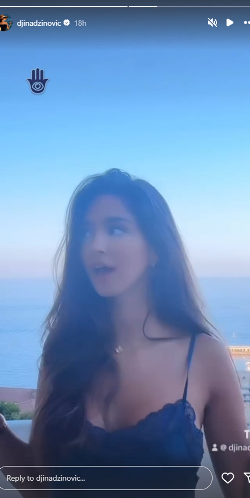 Đina Džinović, objava