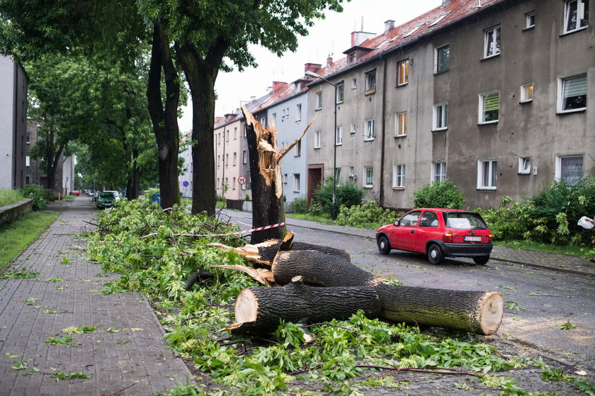 Zabrze. Nawałnice spustoszyły miasto