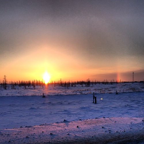 Zdjęcia Dmitrija Miedwiediewa - Jamał