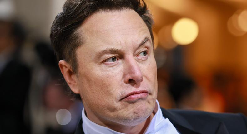 Twitter CEO, Elon Musk [Theo Wargo/WireImage]