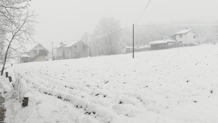 cacak 1615362296cacak-sneg-pao-fotorina2