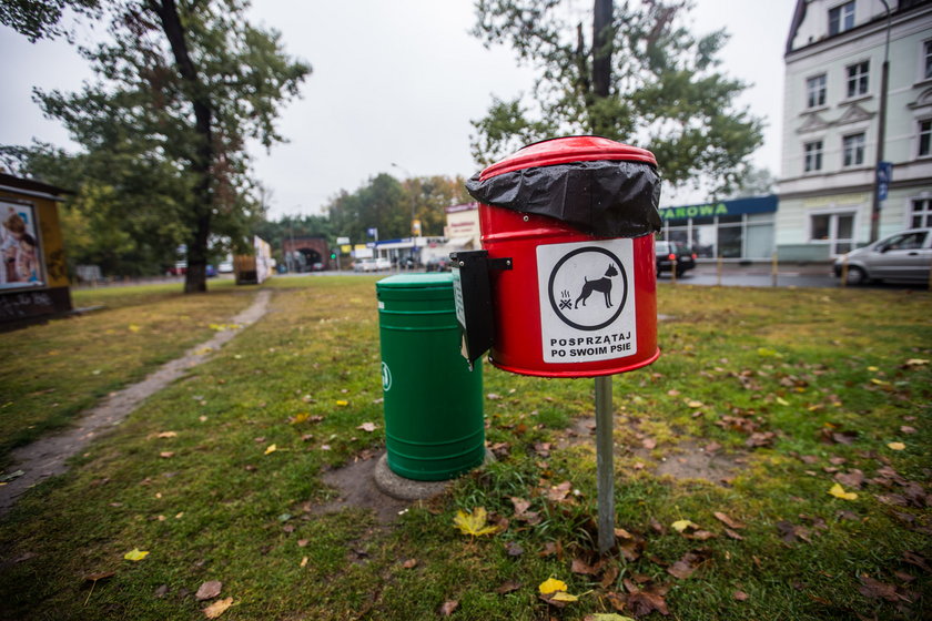 Miasto zrobiło wybiegi dla psów