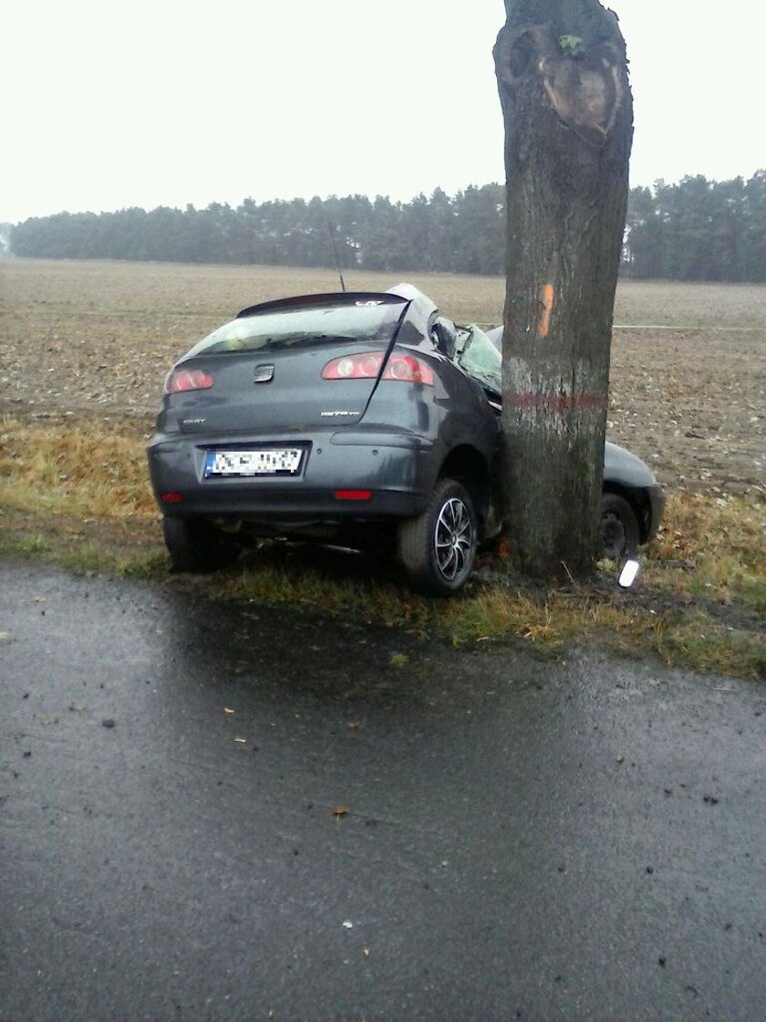 Nie przeżyła uderzenia w drzewo