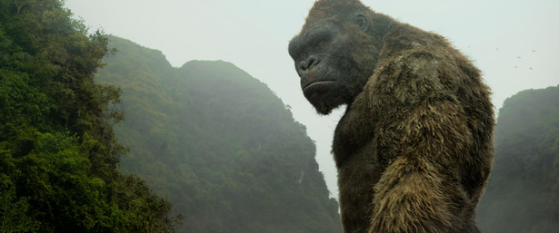 Małpa i sekrety tajemniczej wyspy. "Kong: Wyspa Czaszki". RECENZJA