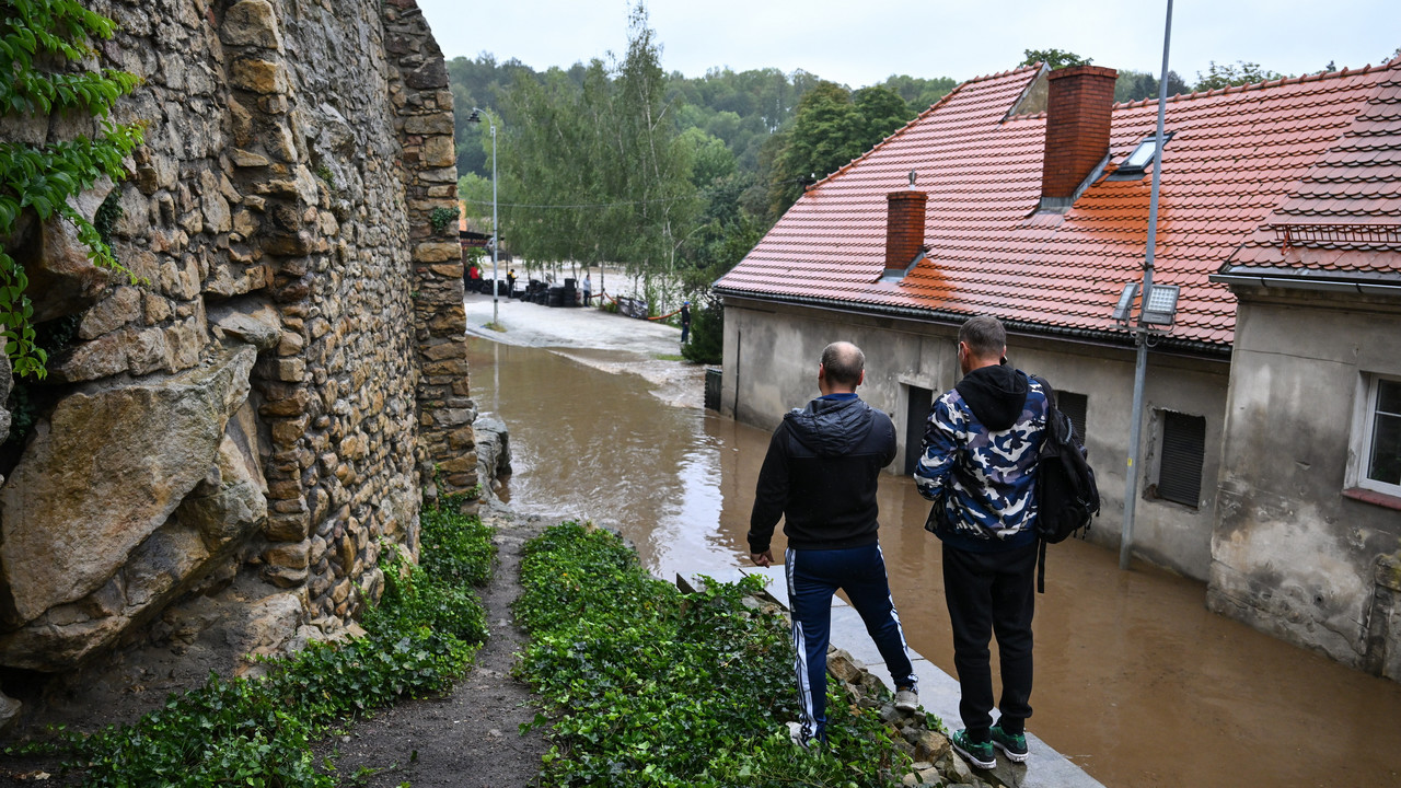 Fatalna sytuacja w Bystrzycy Kłodzkiej. Zginęły zwierzęta