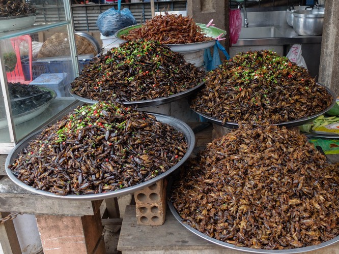 Kambodża: stragan z robakami