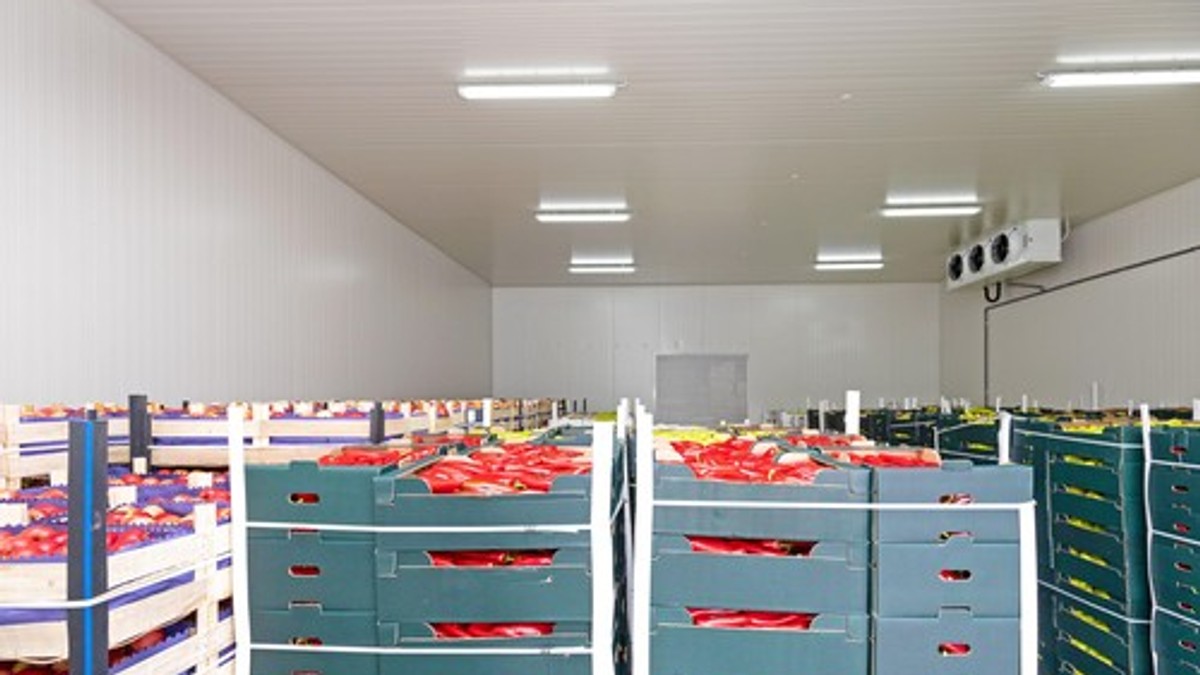 Magacin sa hranom - ilustracija