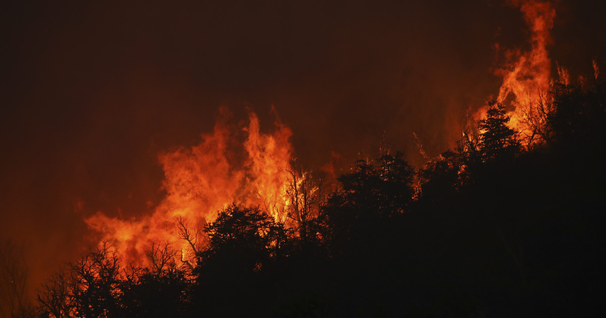 Le foreste stanno bruciando in Argentina.  Il governo sta emettendo allarmi antincendio in tutto il paese