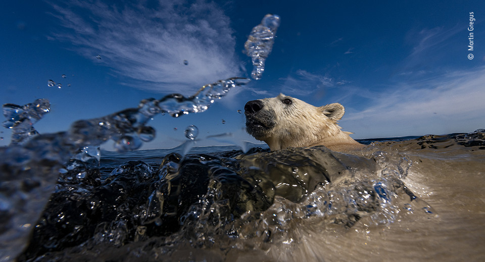 Zwycięzcy Wildlife Photographer of the Year 2021