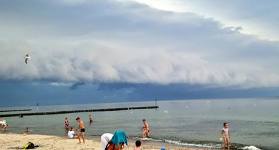 Bałtyk stał się lodowaty? Temperatura wody spadła o 7 st. C. Wiemy, co się stało