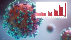 Kolejny podwariant koronawirusa w natarciu. W Polsce już ponad tysiąc zakażeń