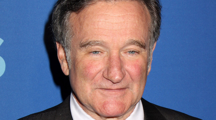 Robin Williams /Fotó: Northfoto