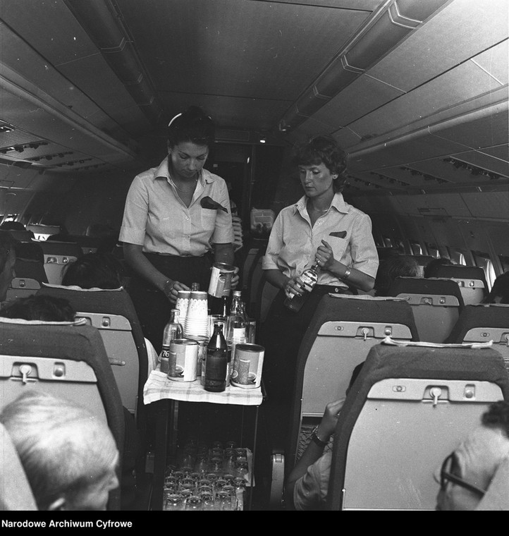 Stewardessy