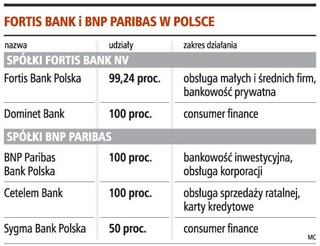Fortis zostanie w rękach BNP Paribas