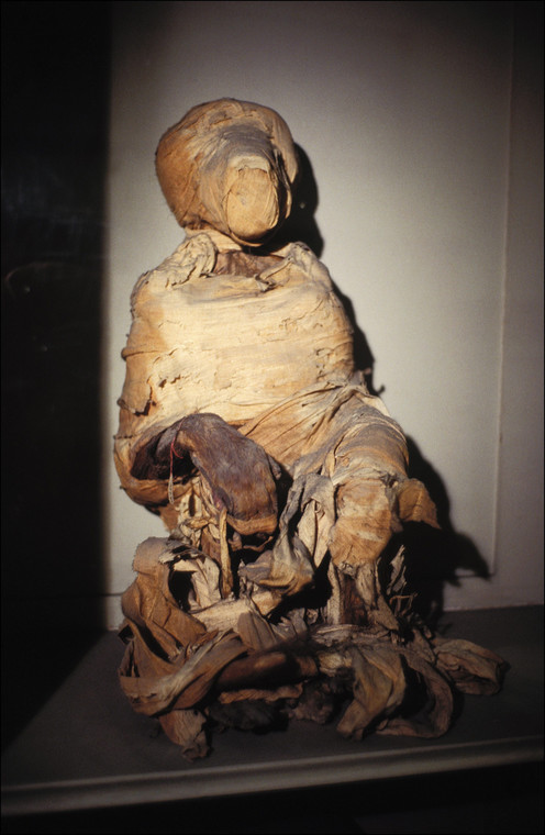 Mumia pawiana (muzeum w Kairze)