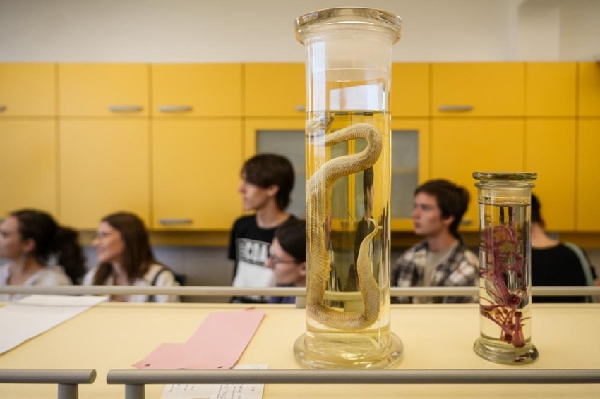 Nedelja istraživača -Otvorena vrata IBISS