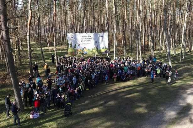 Idea zrównoważonego rozwoju w Kronospan