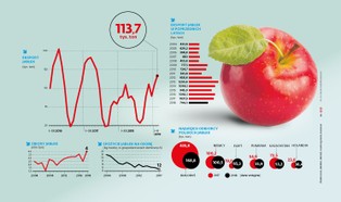 Eksport jabłek przyśpieszył, ale część ubiegłorocznych zbiorów i tak może się zmarnować