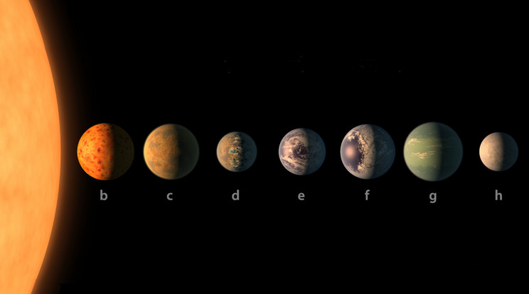 A TRAPPIST-1 bolygórendszer, az egyik legígéretesebb helyszíne a földön kívüli élet keresésének. A következő évtizedekben ezerszámra találhatunk olyan bolygókat, ahol lehet élet. De ez nem azt jelenti, hogy földi értelemben is fejlett élet, vagy fejlett civilizáció található ezeken az égitesteken, azt pedig még kevésbé, hogy kapcsolatba lépnénk bármilyen létformával. / Illusztráció: NASA