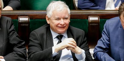 Nowy sondaż. Ogromne poparcie dla PiS i nieoczekiwany powrót