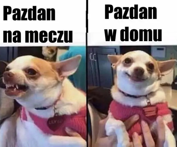 Pazdan