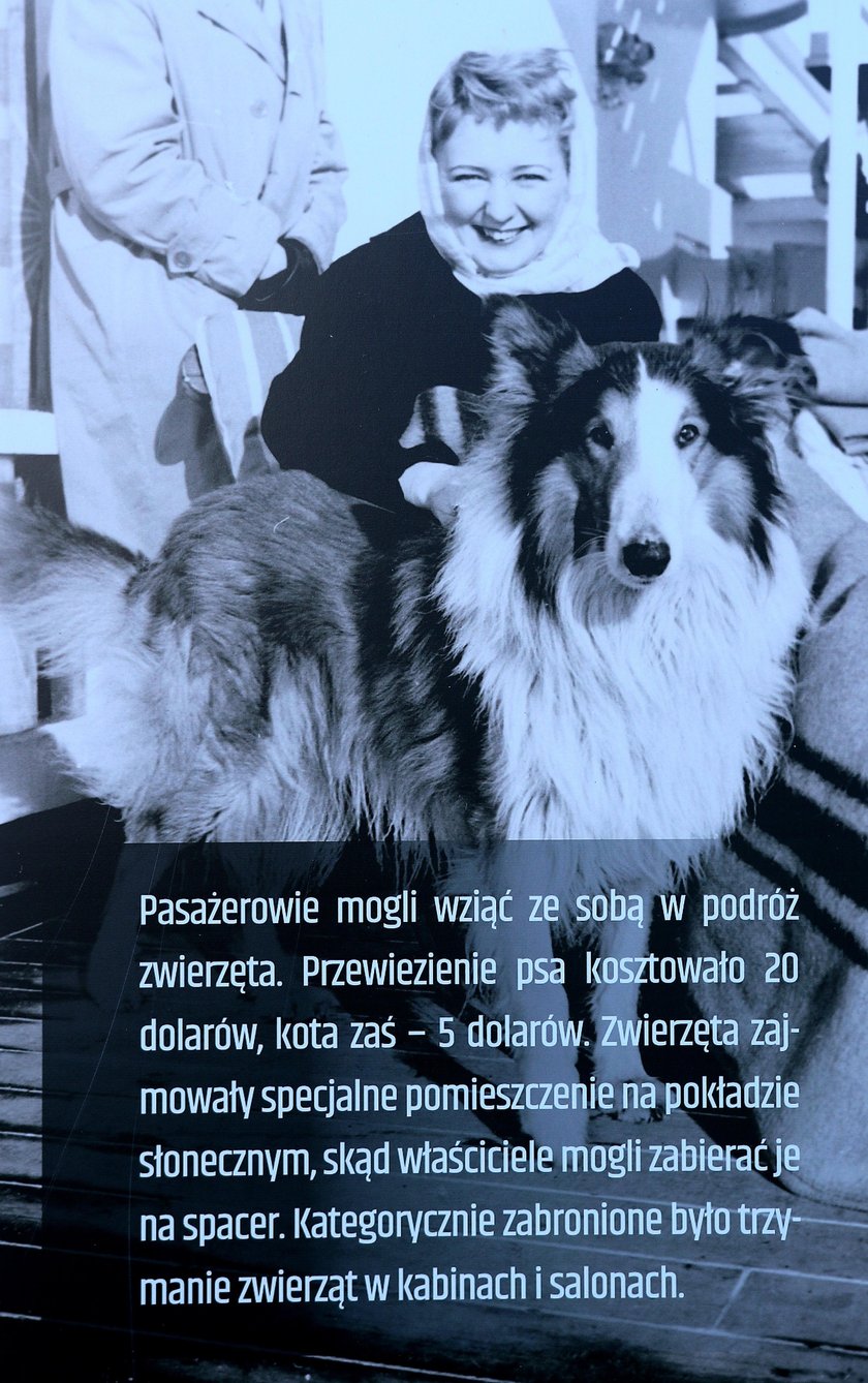 pasażerowie „Batorego"