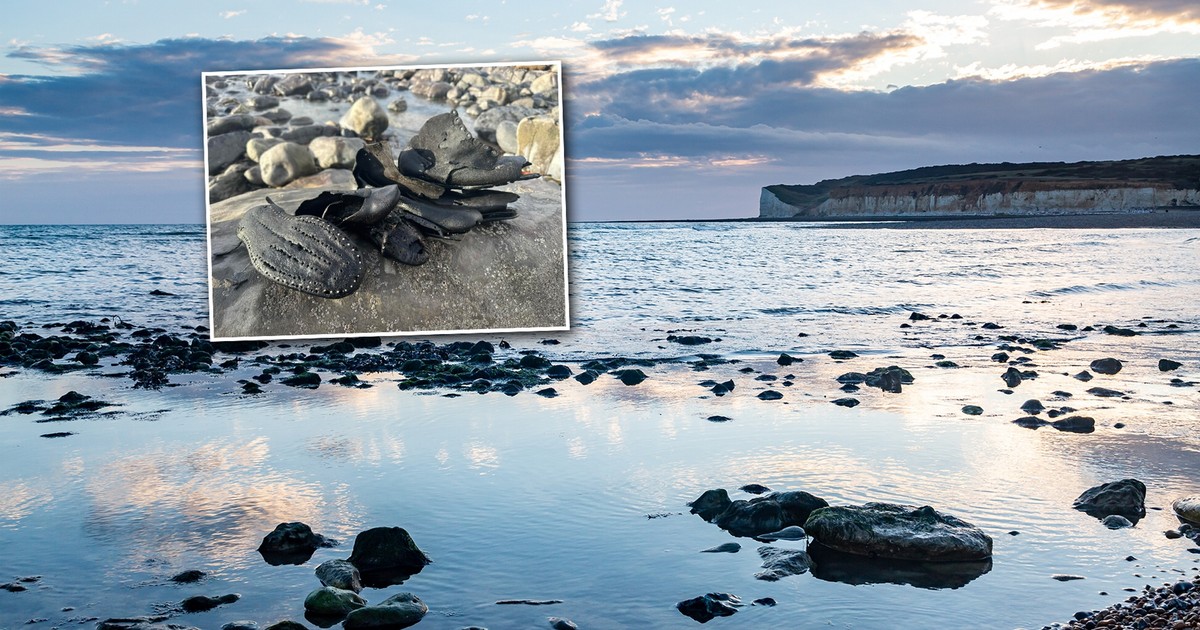 Nie do wiary, co morze wyrzuciło na brzeg. Skarb sprzed 200 lat zwyczajnie leżał na plaży