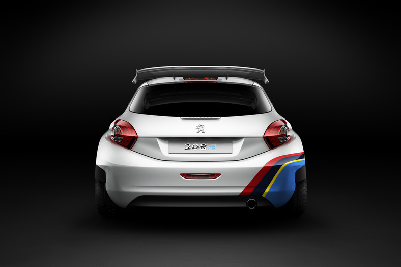 Peugeot 208 Type R5