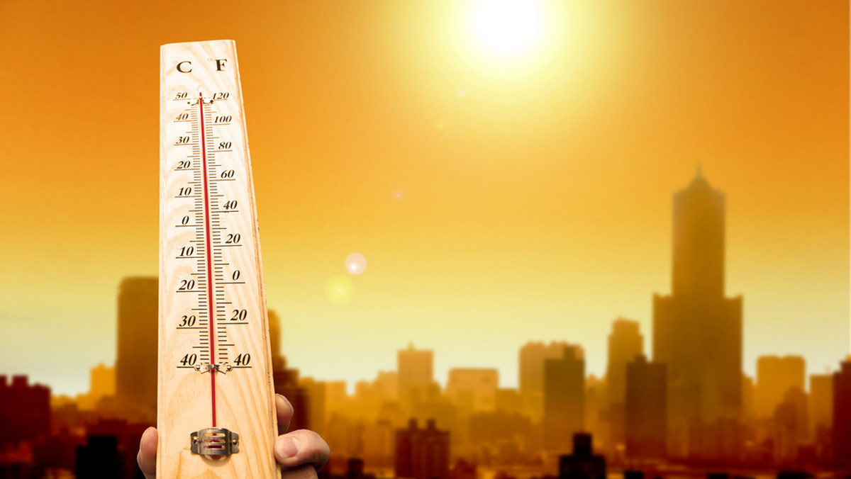 Ubiegły rok okazał się drugim najgorętszym rokiem od chwili stałego zapisywania pomiarów temperatury na świecie. W Europie był za to najgorętszym w jej historii.