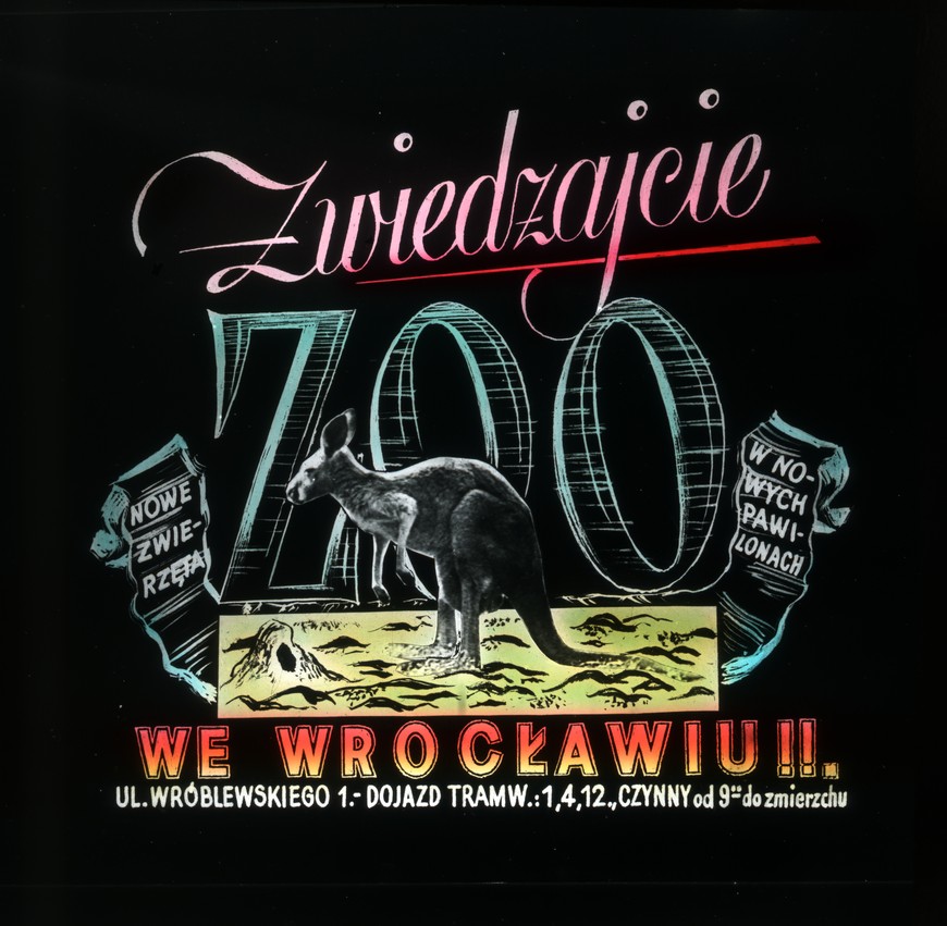 Do wizyty w ogrodzie zapraszał kangur