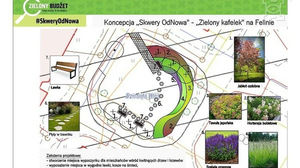 Przemianę przejdzie łącznie 11 miejsc w Lublinie. To m.in. park w Głusku, Zielona Sala Wykładowa, skwerki przy ul. Lipowej, a także skwerki kieszonkowe, które powstały kilka lat temu.