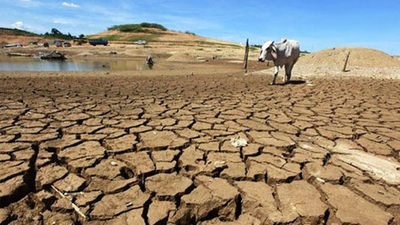 FG wants companies fighting climate change to begin account disclosure Jan 2024. [HumAngle]