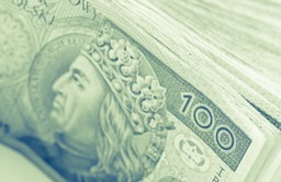 Samorządowcy mają dość czekania na reformy, więc przygotowali swoje