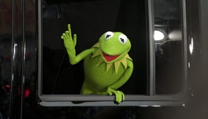 Kermit the Frog.Harmony Gerber/Shutterstock.com