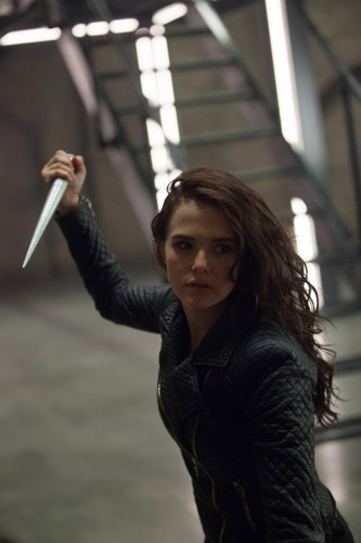 'Akademia Wampirów': budżet: 30 mln $, wpływy z biletów: 7,791,979 $