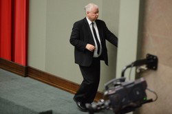 Poseł PO do Jarosława Kaczyńskiego: Panie prezesie, ma pan kota. Cały kraj wie, że lubi pan zwierzęta