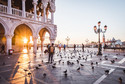 Wenecja — zakaz dokarmiania gołębi 