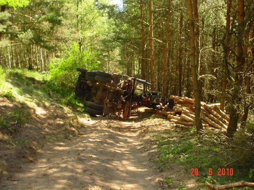 Zabiły go kłody drewna. FOTO