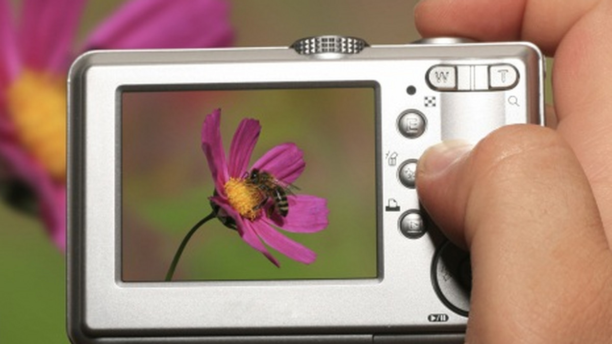 Artystyczne eksperymenty optyczne, instalacje przestrzenne i świetlne, prace fotograficzne i cyfrowe, będzie można od soboty oglądać na wystawie w Centrum Rzeźby Polskiej w Orońsku (Mazowieckie). Autorami prac są artyści z Europy, Ameryki Południowej i Azji.