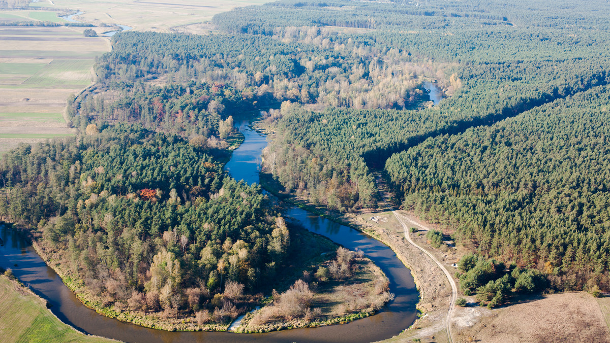 Komisja Europejska i Narodowy Fundusz Ochrony Środowiska przyznały dofinansowanie w wysokości 23 mln zł na realizację projektu dotyczącego odtworzenia stanu pierwotnego delty rzeki Nidy. Przygotował go Zespół Świętokrzyskich i Nadnidziańskich Parków Krajobrazowych. Projekt jest jednym z zaledwie trzech z Polski, które otrzymają dofinansowanie z programu LIFE Komisji Europejskiej.