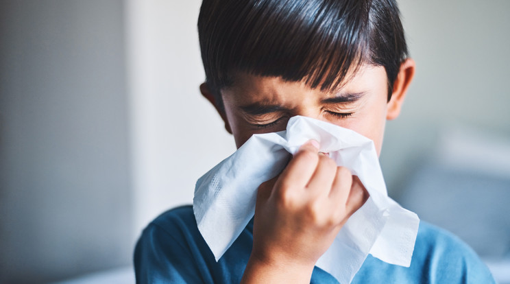 A pollenallergia és a háziporatka-allergia tipikus árulkodó jelei ugyanazok a légúti tünetek, amelyek a gyermekkorban rendkívül gyakori megfázásokkal is járnak: a köhögés, a tüsszögés és az orrdugulás / Fotó: Northfoto