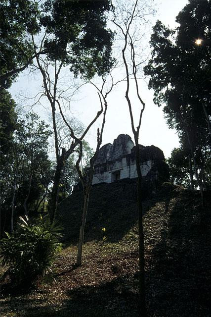 Galeria Odkrywanie tajemnic Majów: Polskie wykopaliska w Gwatemali, obrazek 39