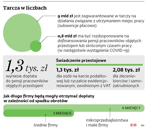 Tarcza w liczbach