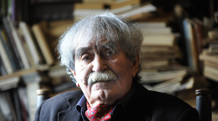 A Kossuth-díjas költő 87 éves korában hunyt el/Fotó:MTI - Czimbal Gyula