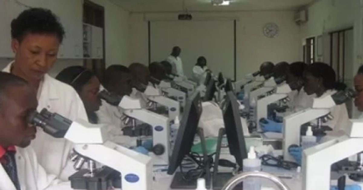 Nigeria's microbial potentials will address hunger, insecurity – NSM - Vimarsana News