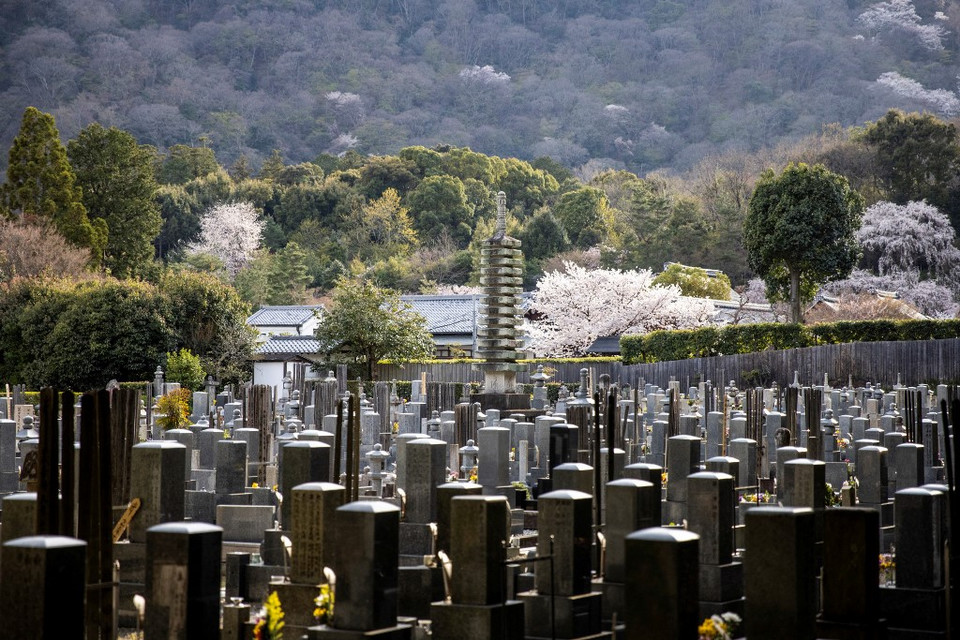 Śmierć po japońsku. Futurystyczne cmentarze Kraju Kwitnącej Wiśni